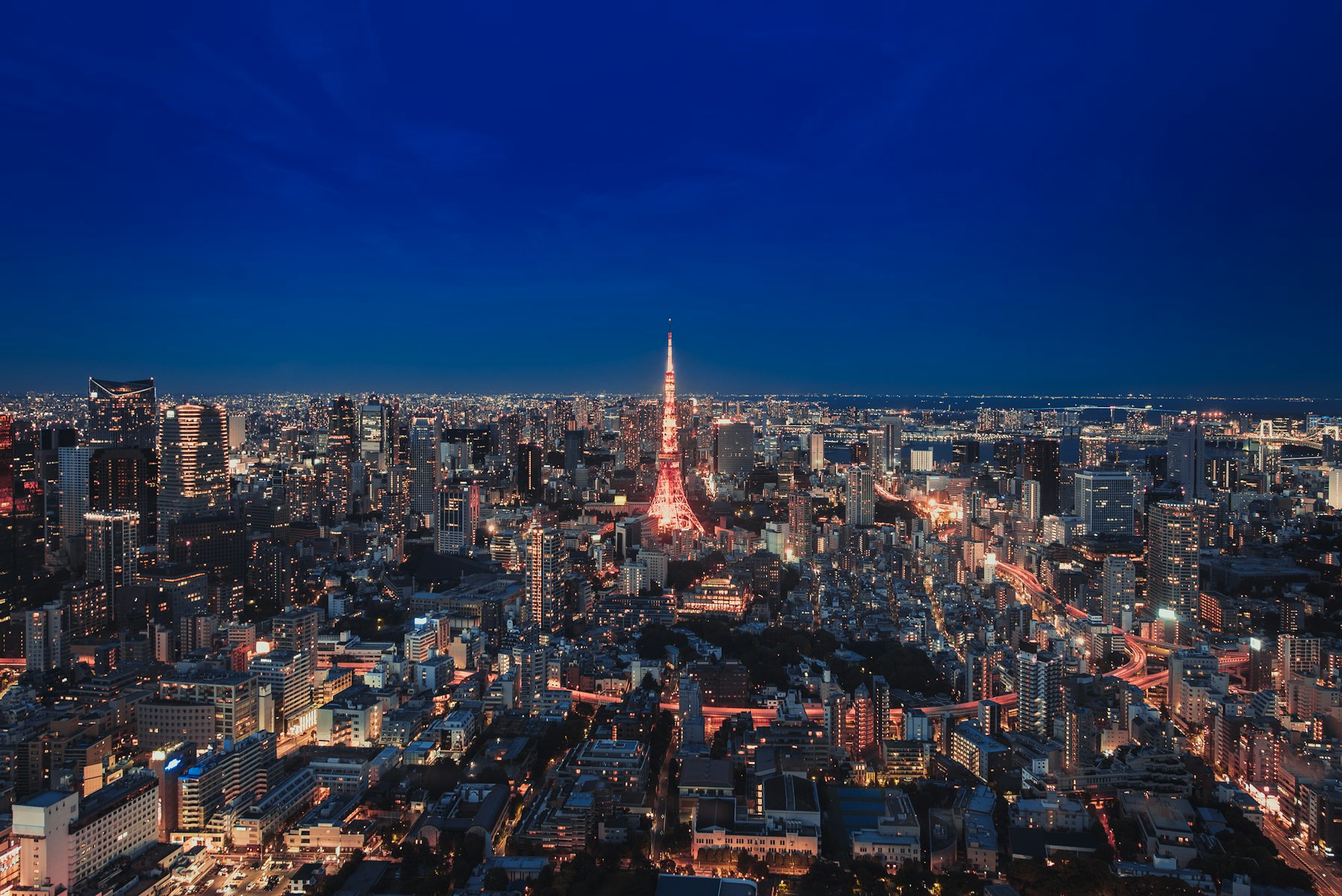 Tokyo skyline at night
